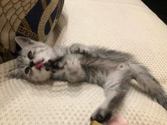 -上海市松江区中心医院