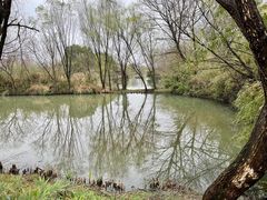 -西溪国家湿地公园