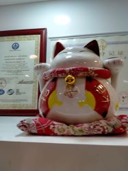 -晶奕空间专业脱毛连锁机构