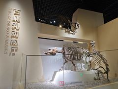 -国家自然博物馆