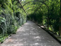 -红螺寺