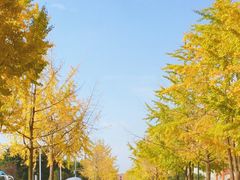 -西南民族大学南区(双流校区)