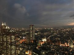 -东京都厅舍