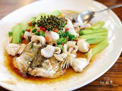 鲜花椒蒸桂花鲈-猪肉婆私房菜(容桂总店)