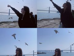 -大连星海广场音乐喷泉