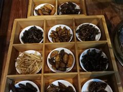 -昆虫窝子·特色云南菜(拓东路总店)