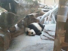 -宁波野生动物园