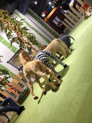 -幻贝家儿童乐园(苏州中心店)