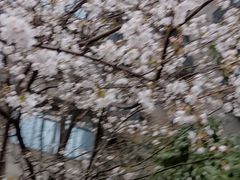 -宋记热干面馆(五福路店)