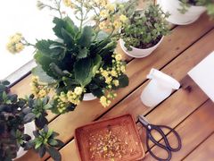 -三亚夏威夷大酒店