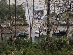 -上海外高桥汽车交易市场