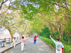 -大湾区中央湿地公园