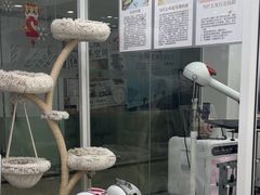 -爱洗澡的猫(天河路店)