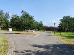 -莫子山公园