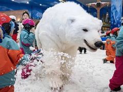-长沙湘江冰雪世界