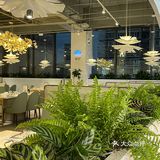 我服了！居然被一口鸡汤狠狠拿捏！ 