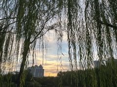 -南翠屏公园