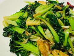 -阿五黄河大鲤鱼(纬三路店)