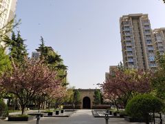 -木塔寺遗址生态公园