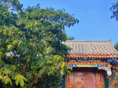 -天津妈祖文化园