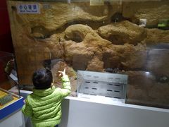 -上海昆虫博物馆