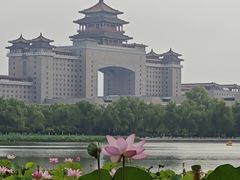-莲花池公园