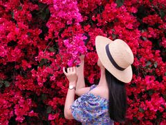 -厦门国家会计学院