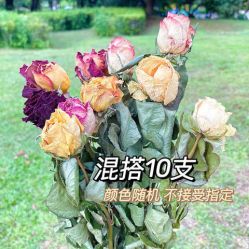 -小梨·OndaPro·专业脱毛连锁机构