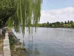 -苏州古运河游船(新市桥码头)