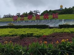 -三峡古玩城(泰古广场店)