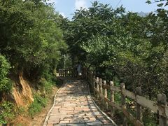 -大岭沟猕猴桃谷风景区