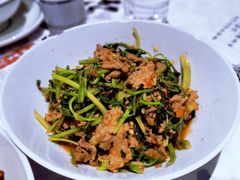 香菜炒牛肉-壹盏灯(惠农店)