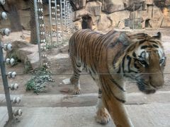 -荆州中山公园动物园