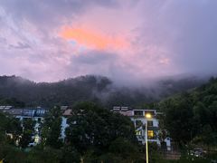 -芦茨金富饭庄·25年老字号·专做稻草鸡
