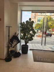 -WENDY·温迪皮肤管理