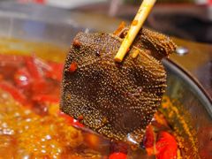 -潘小辣鲜肉老火锅
