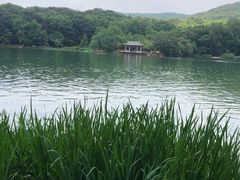 -紫霞湖公园