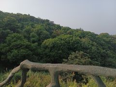 -梧桐山风景名胜区