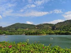 -水濂山森林公园