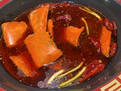 -七里川健康火锅(总店)