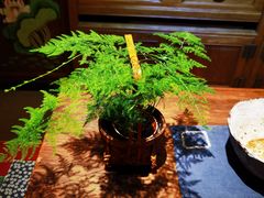 -云来集茶舍(国子监街店)