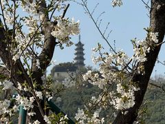 -苏州上方山国家森林公园