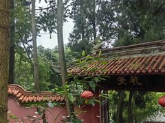 -都江堰普照寺