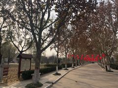 -赵州桥景区