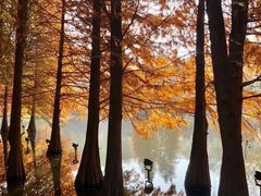 -灵谷景区