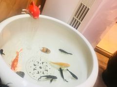 -嘉陵楼馋嘴城(簋街总店)