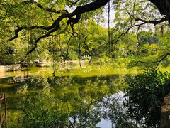 -小洲村