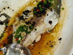 -金山记靓鸡专门店·中山菜