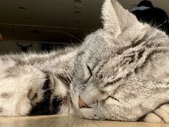 -平行世界·猫咖(首经贸店)