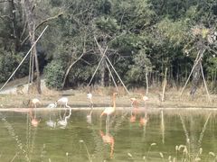 -杭州野生动物世界